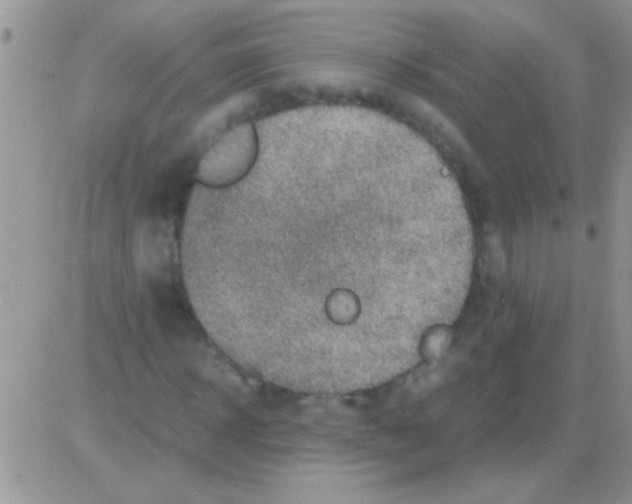 X0000082720918200702232317