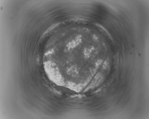 X0000082720919200702232317