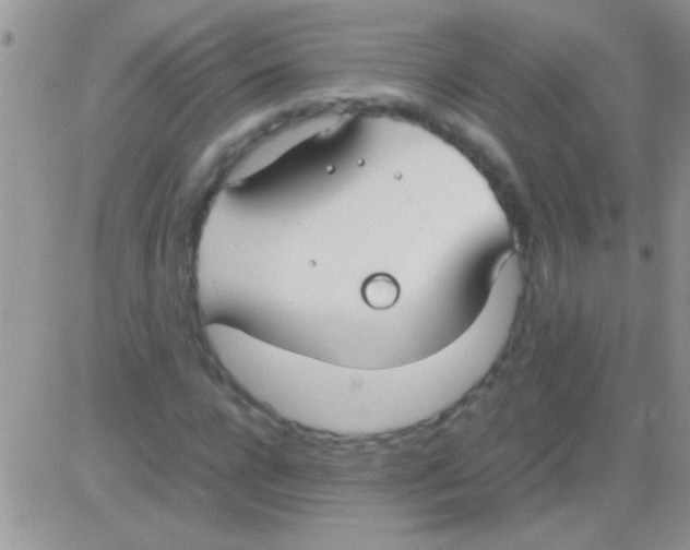 X0000082720920200702232317