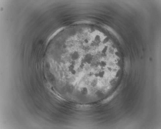 X0000082720921200702232318