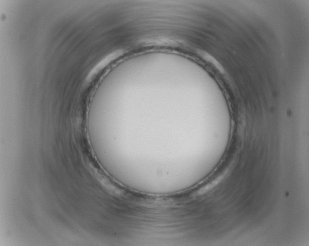 X0000082720922200702232318