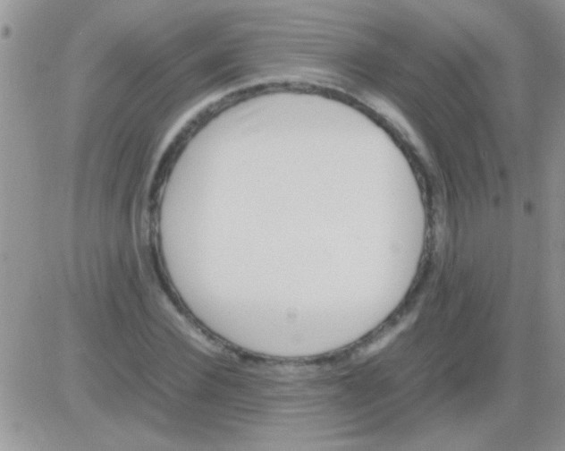 X0000082720924200702232318