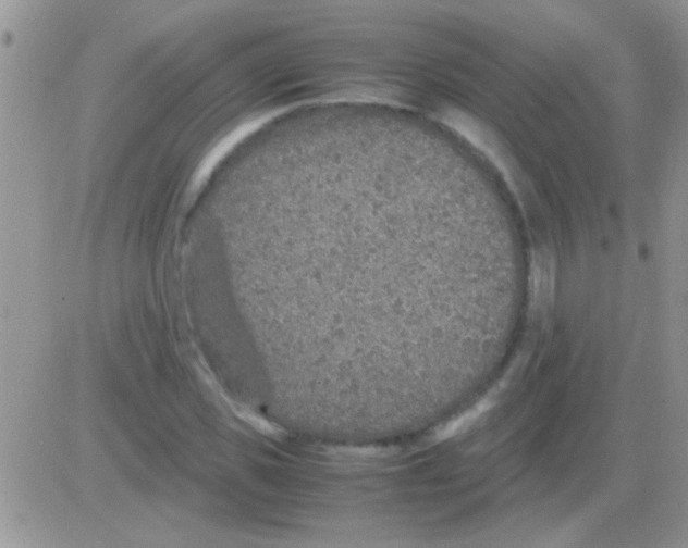 X0000082720925200702232318