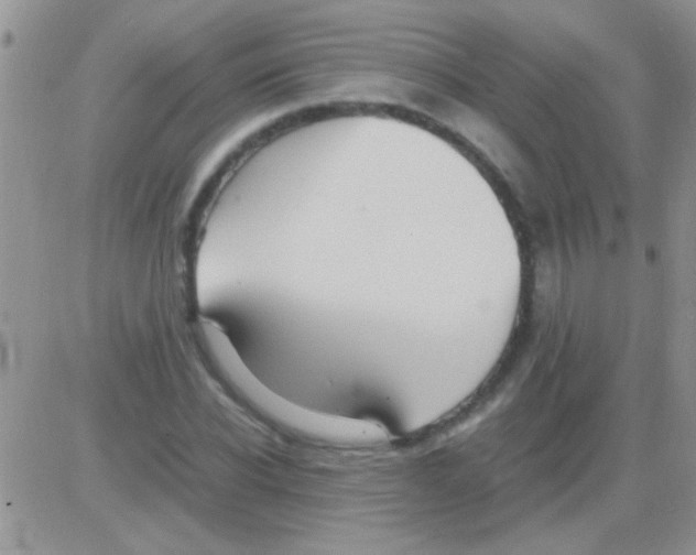 X0000082720926200702232318