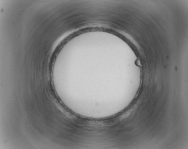 X0000082720927200702232318