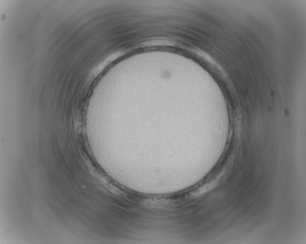 X0000082720929200702232318