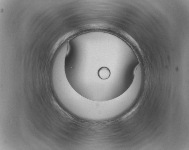 X0000082720930200702232318