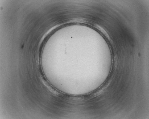 X0000082720931200702232318