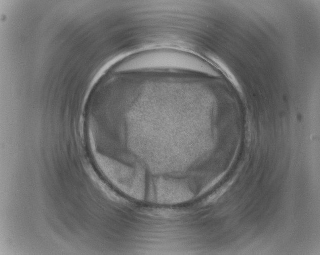 X0000082720932200702232318