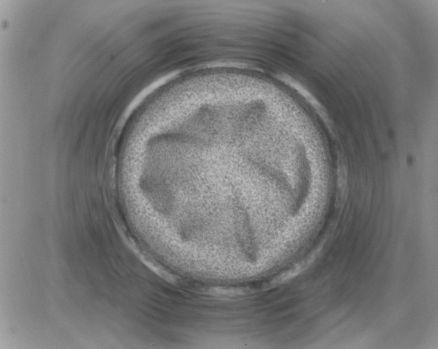 X0000082720933200702232318