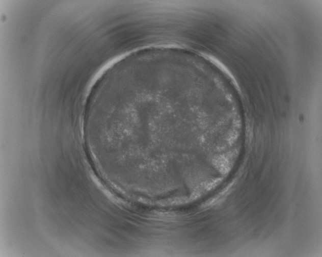 X0000082720935200702232318