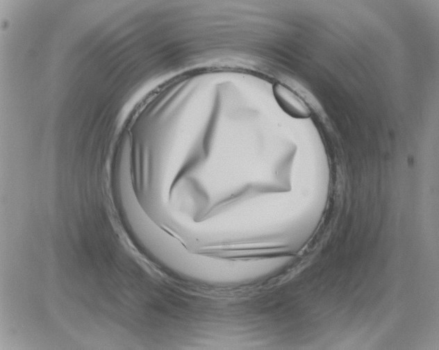 X0000082720936200702232318