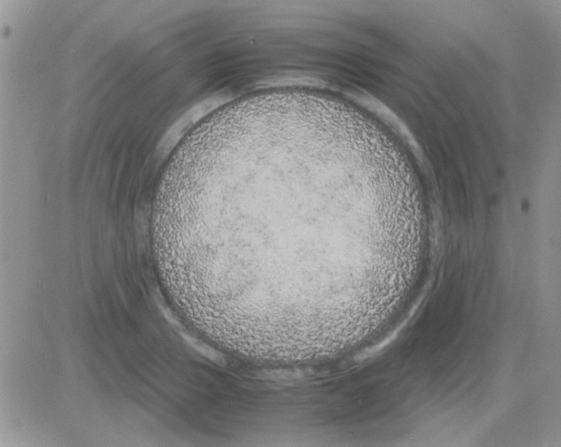 X0000082720937200702232318