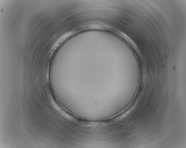 X0000082720938200702232318