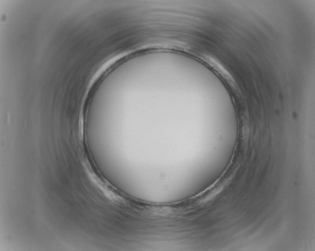 X0000082720940200702232318