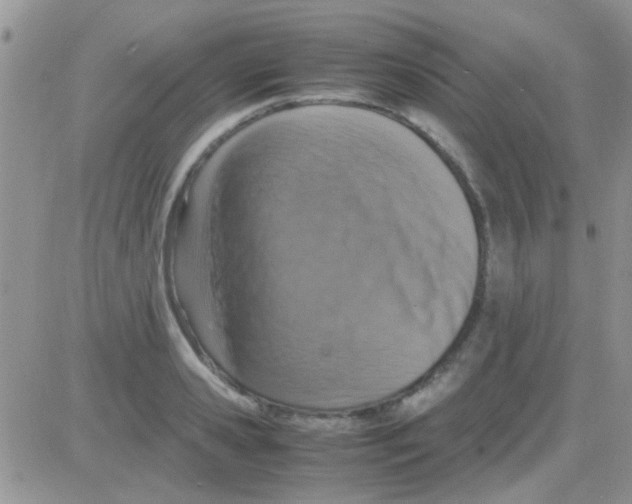 X0000082720941200702232318