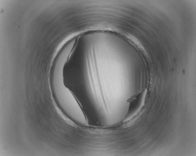 X0000082720942200702232318