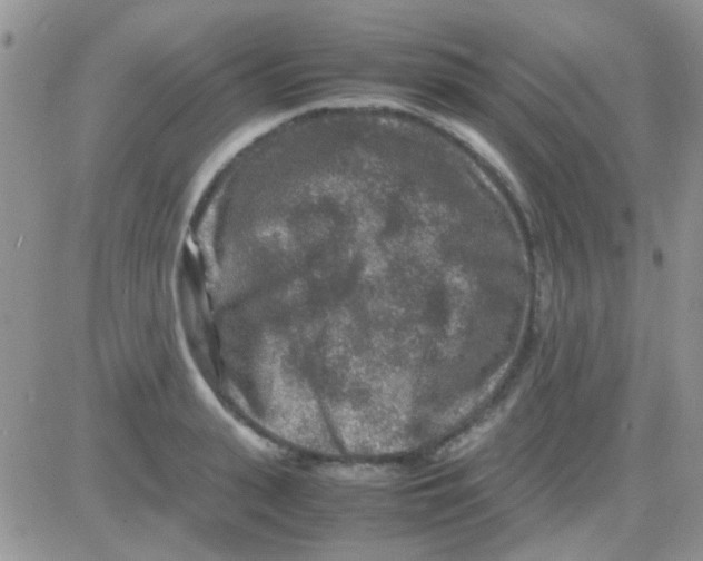 X0000082720943200702232318