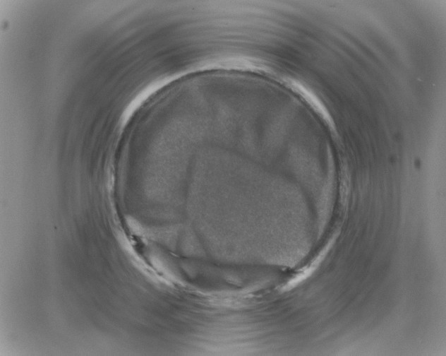 X0000082720944200702232318