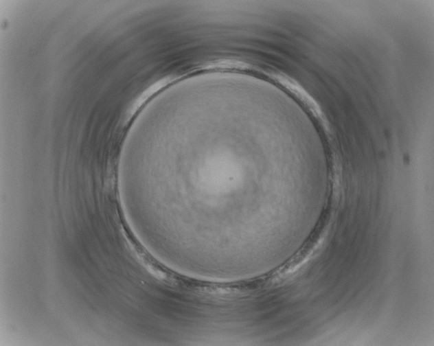 X0000082720945200702232318