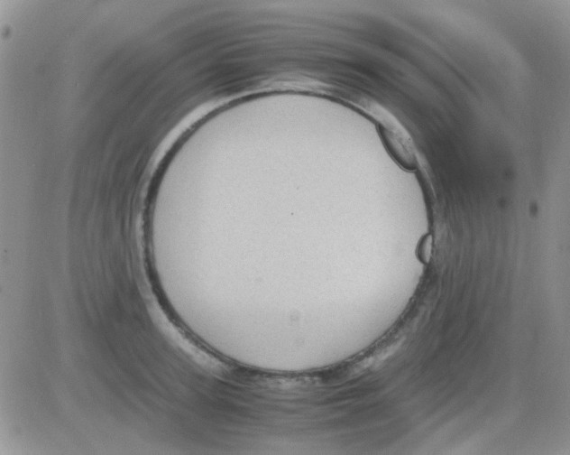 X0000082720947200702232318