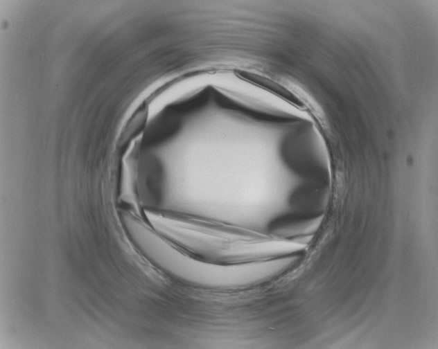 X0000082720948200702232318