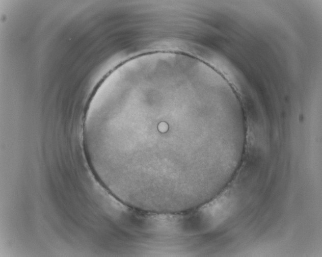 X0000082720950200702232318