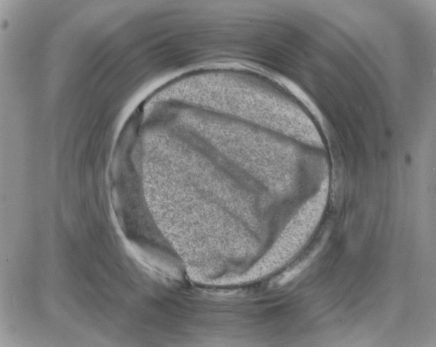 X0000082720951200702232318