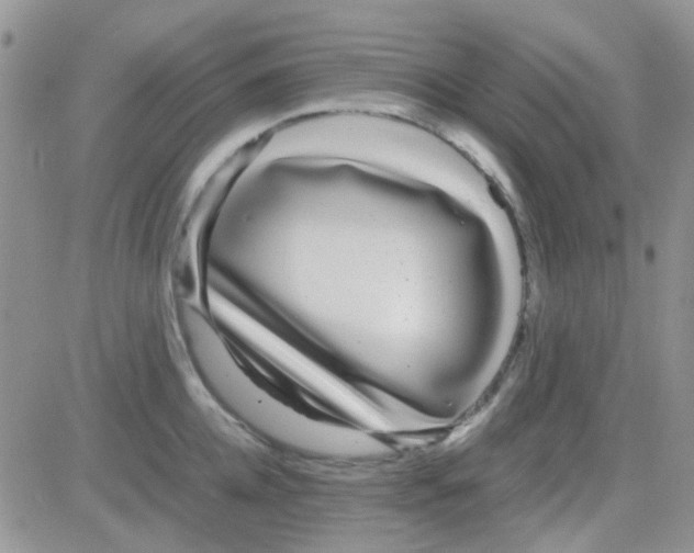 X0000082720952200702232318