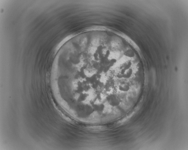 X0000082720953200702232318