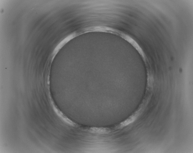 X0000082720954200702232318