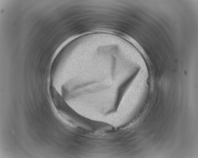 X0000082720955200702232318