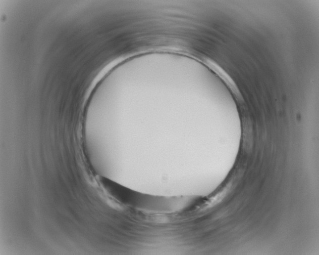 X0000082720956200702232318