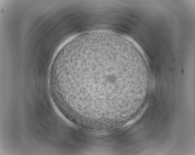 X0000082720957200702232318