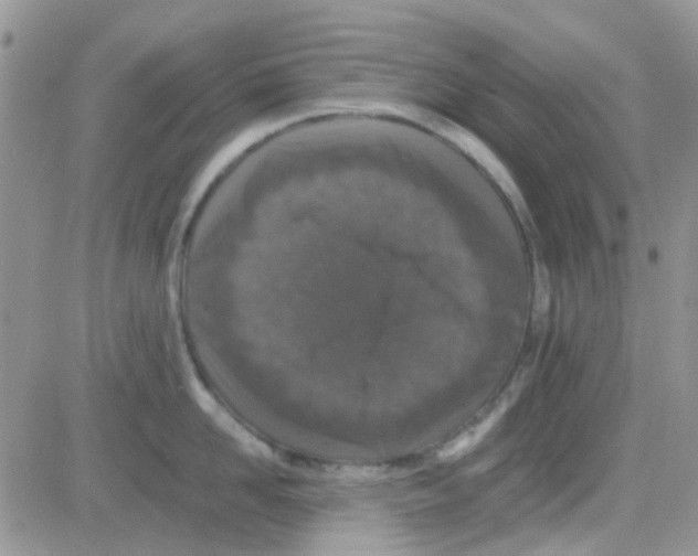 X0000082720958200702232318