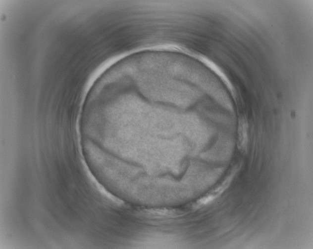 X0000082720959200702232318