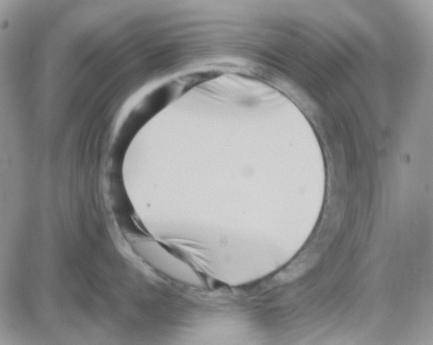 X0000082720960200702232318