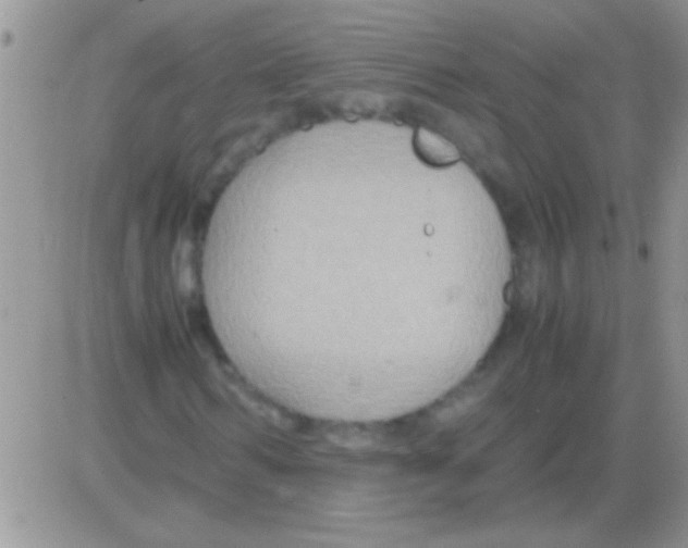 X0000082720962200702232317