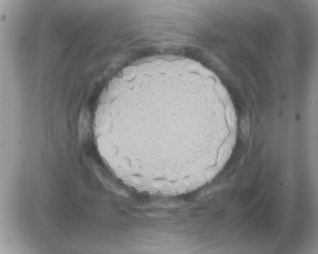 X0000082720963200702232317