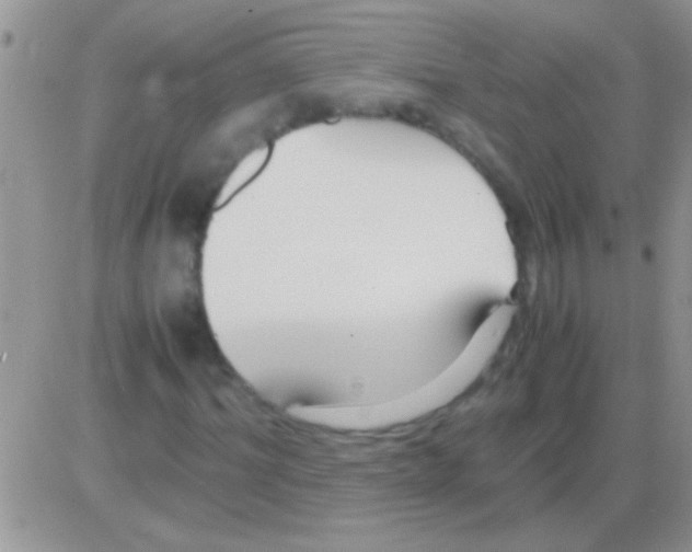 X0000082720964200702232317