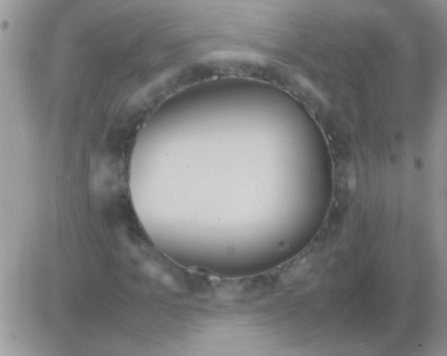 X0000082720965200702232317