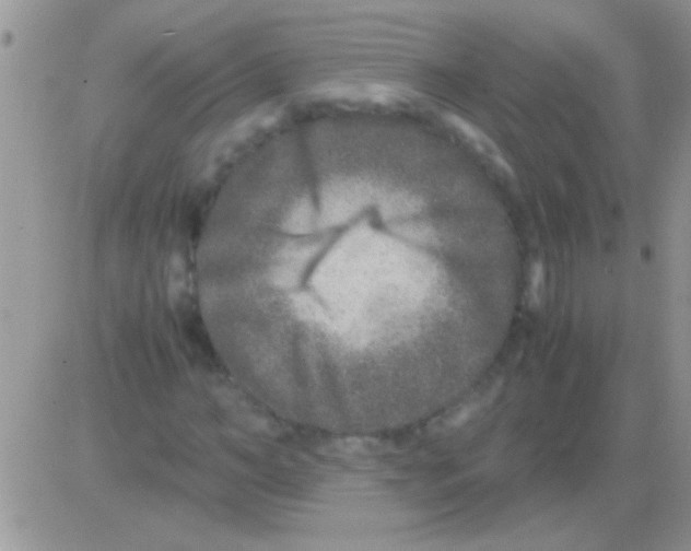 X0000082720966200702232317