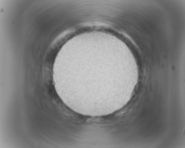 X0000082720967200702232317