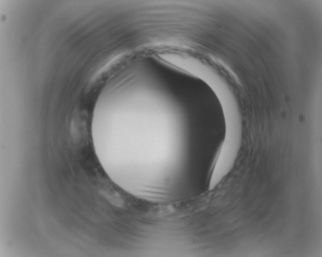 X0000082720968200702232317