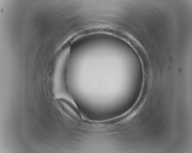 X0000082720969200702232317