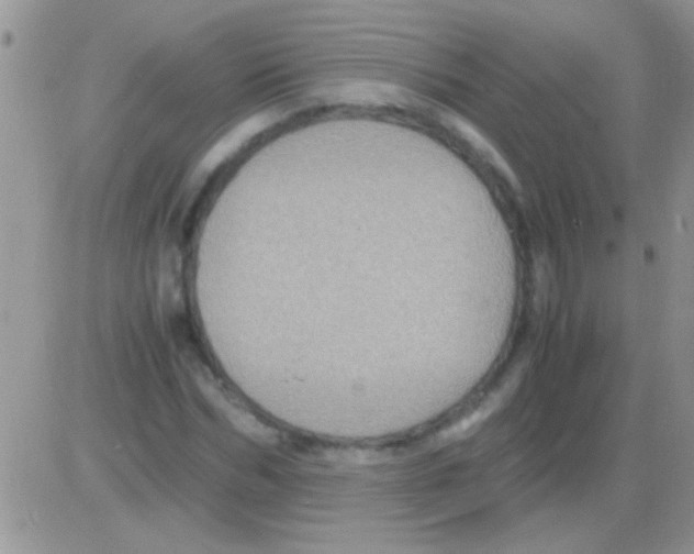 X0000082720970200702232317