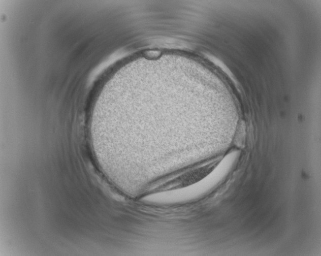 X0000082720971200702232317