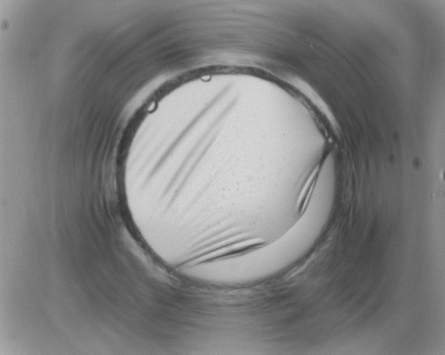 X0000082720972200702232317