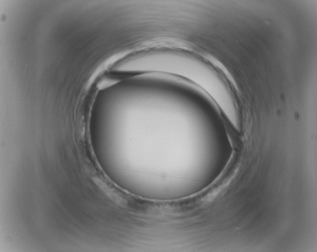 X0000082720973200702232317