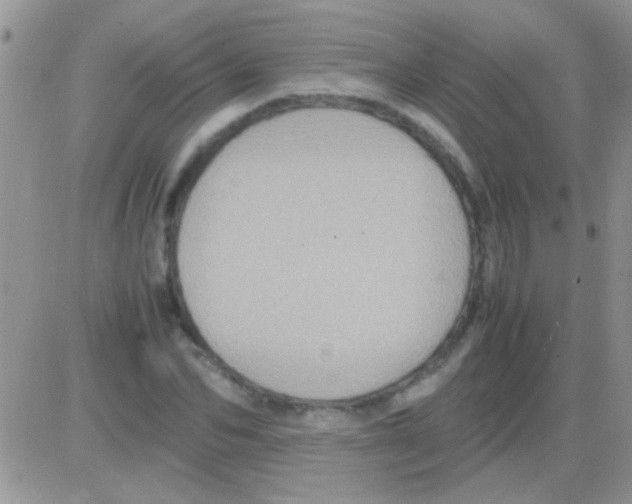 X0000082720974200702232317